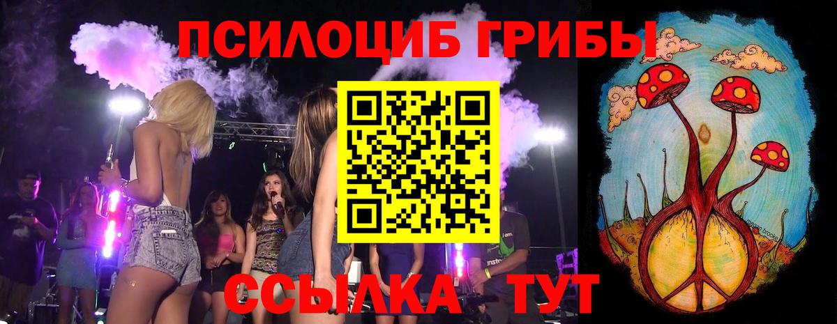 Псилоцибиновые грибы Psilocybe Тулун